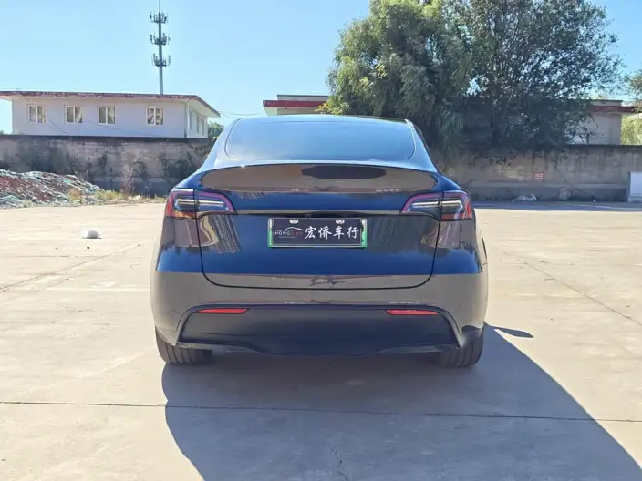Model Y 2024 Model Rear-wheel drive version – фото 6
