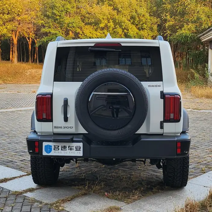 Tank 300 2024 Model 2.0T Challenger – фото 5