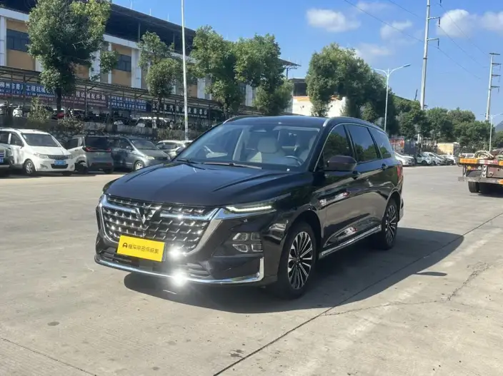 Wuling Victory 2023 Model 2.0L DHT Luxury Model – фото 1