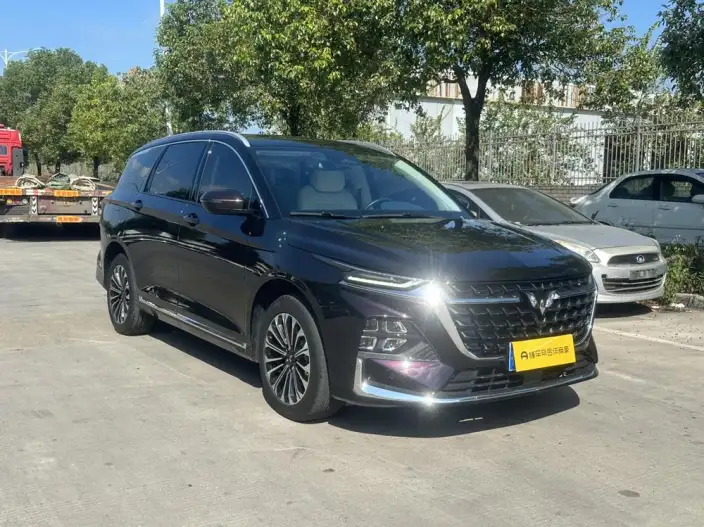 Wuling Victory 2023 Model 2.0L DHT Luxury Model – фото 3
