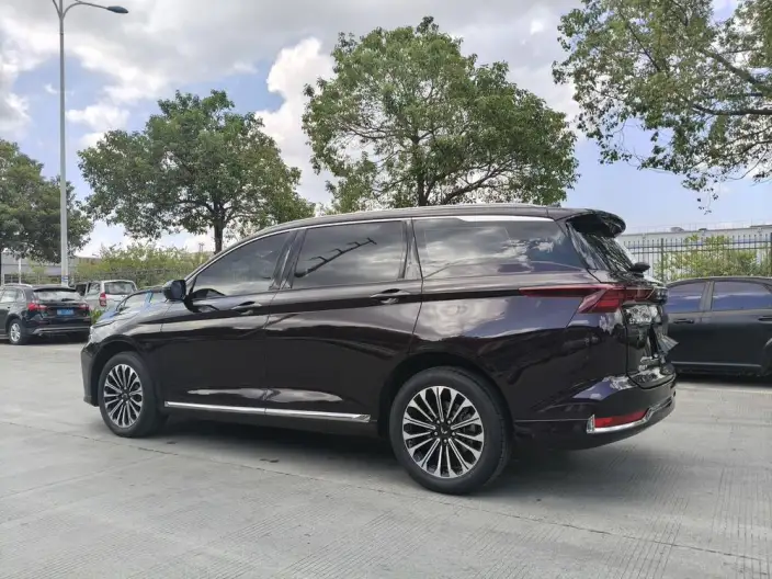 Wuling Victory 2023 Model 2.0L DHT Luxury Model – фото 4