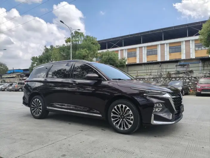 Wuling Victory 2023 Model 2.0L DHT Luxury Model – фото 7