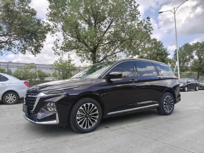 Wuling Victory 2023 Model 2.0L DHT Luxury Model – фото 8