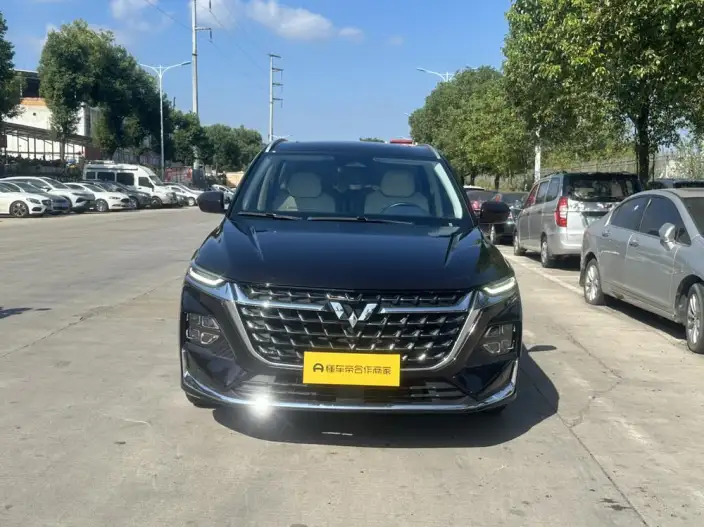 Wuling Victory 2023 Model 2.0L DHT Luxury Model – фото 9
