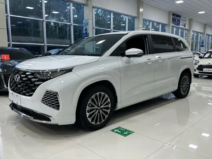 Hyundai Custin 2024 Model 270TGDi LUX Premium Edition – фото 1