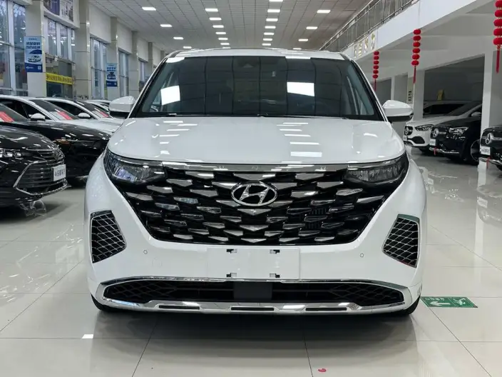Hyundai Custin 2024 Model 270TGDi LUX Premium Edition – фото 2