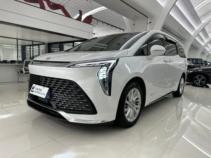 Century 2025 Model 2.0T VII seat Yunshi Edition – фото 1