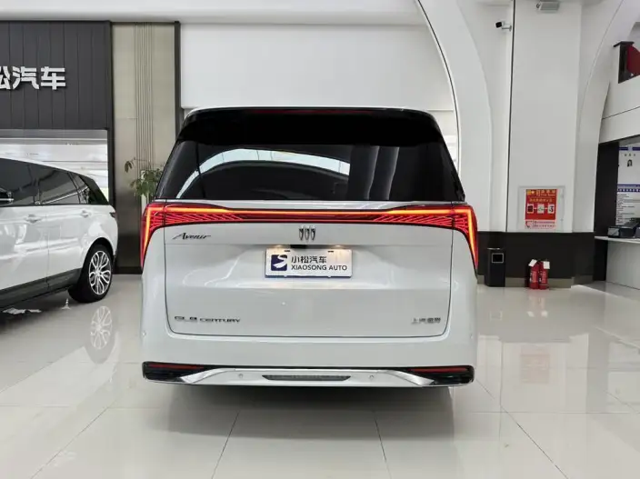 Century 2025 Model 2.0T VII seat Yunshi Edition – фото 4
