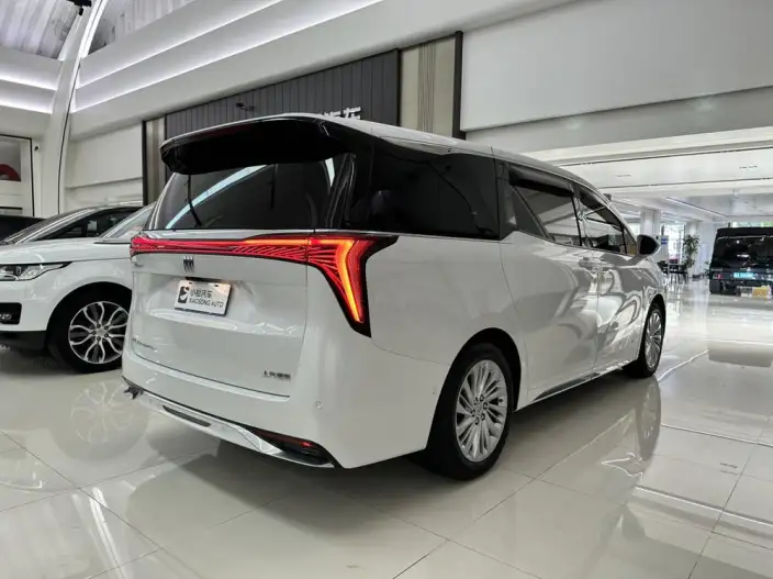 Century 2025 Model 2.0T VII seat Yunshi Edition – фото 5