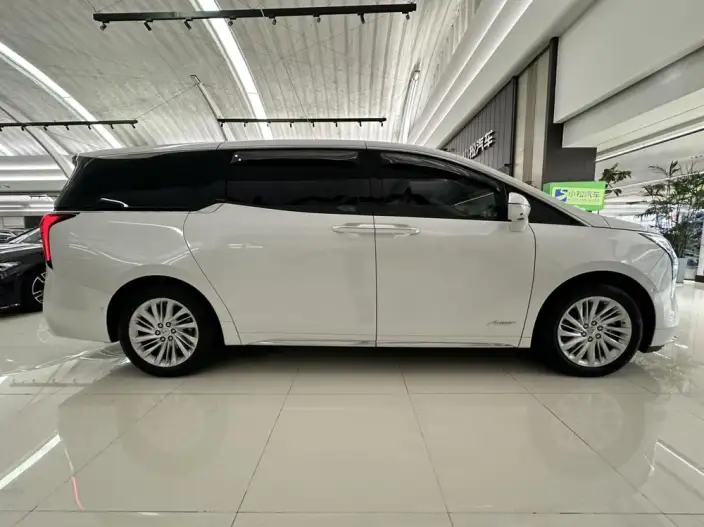 Century 2025 Model 2.0T VII seat Yunshi Edition – фото 6
