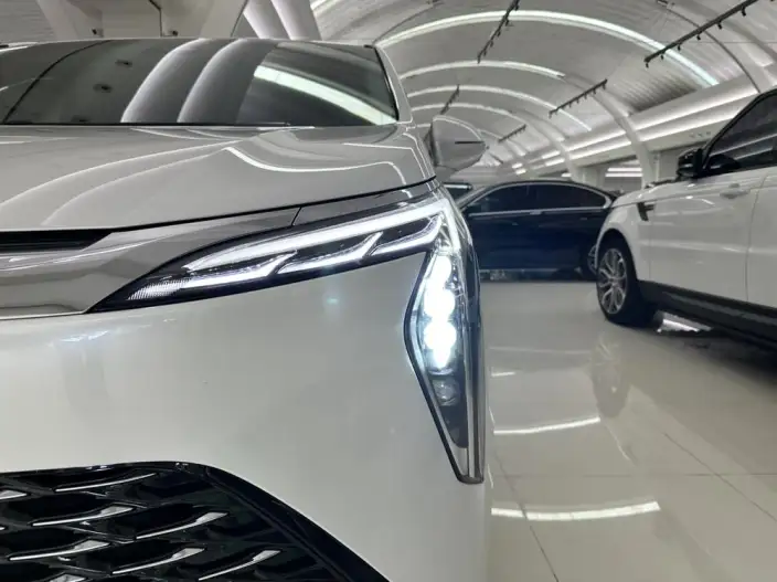 Century 2025 Model 2.0T VII seat Yunshi Edition – фото 8