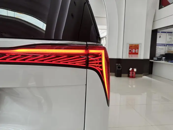 Century 2025 Model 2.0T VII seat Yunshi Edition – фото 10