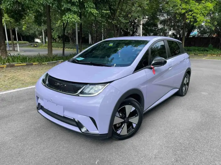 BYD Dolphin 2023 Model Free Edition – фото 1