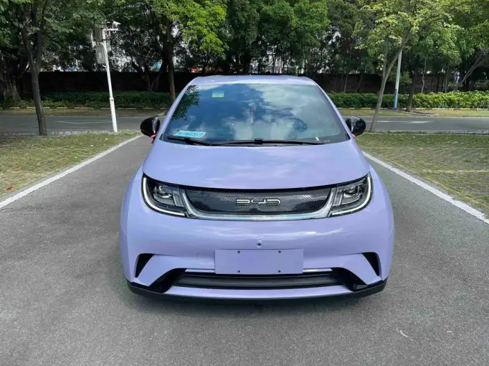 BYD Dolphin 2023 Model Free Edition – фото 2