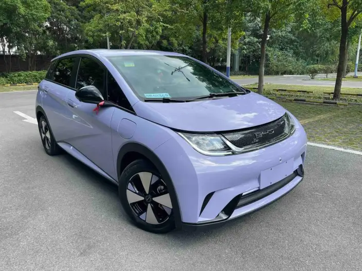 BYD Dolphin 2023 Model Free Edition – фото 3