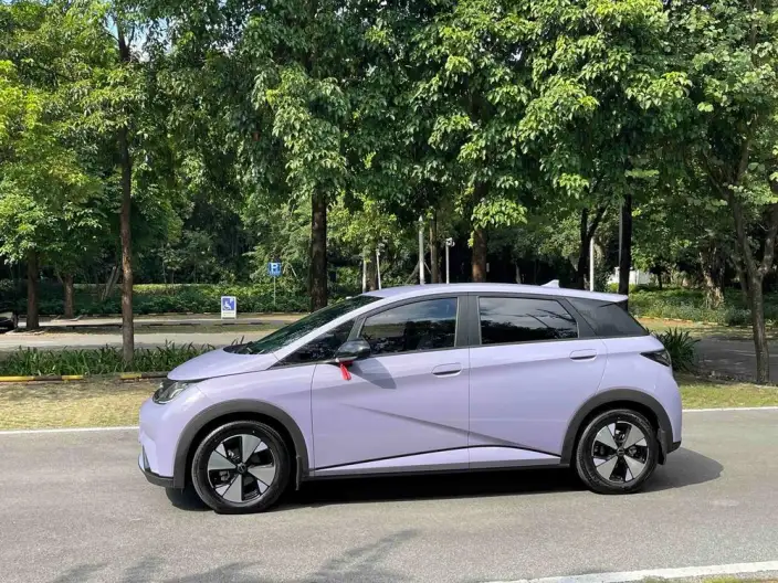 BYD Dolphin 2023 Model Free Edition – фото 4
