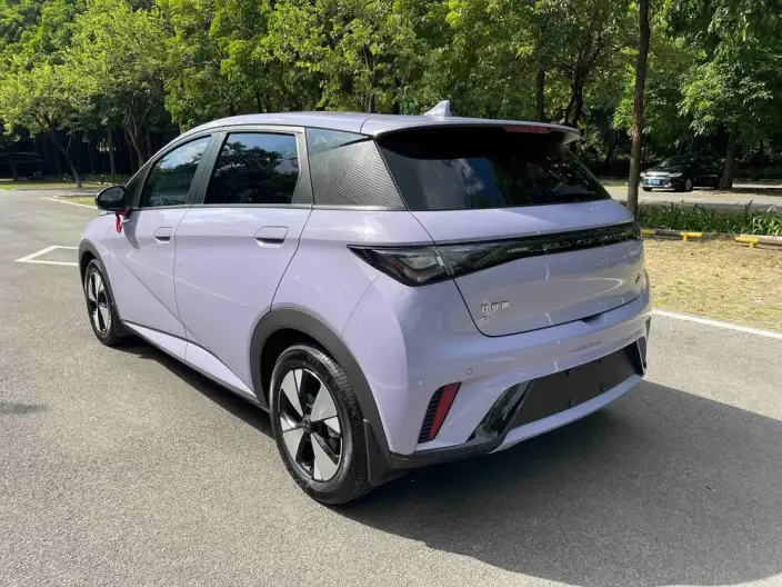 BYD Dolphin 2023 Model Free Edition – фото 5