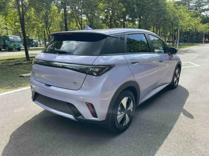 BYD Dolphin 2023 Model Free Edition – фото 7