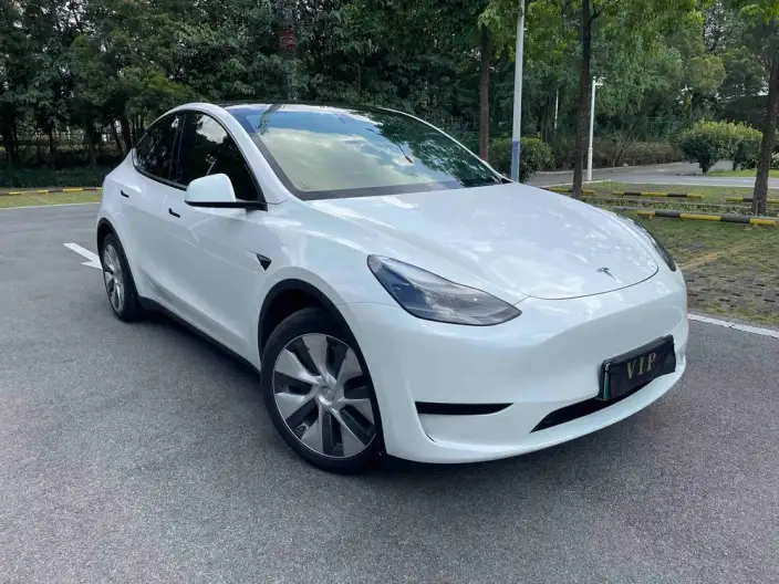 Model Y 2022 Model Facelift Rear-wheel drive version – фото 3