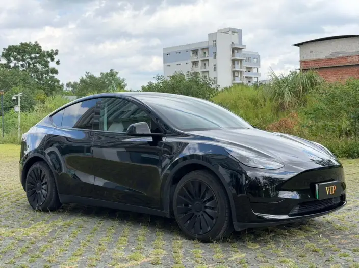 Model Y 2022 Model Facelift Rear-wheel drive version – фото 3