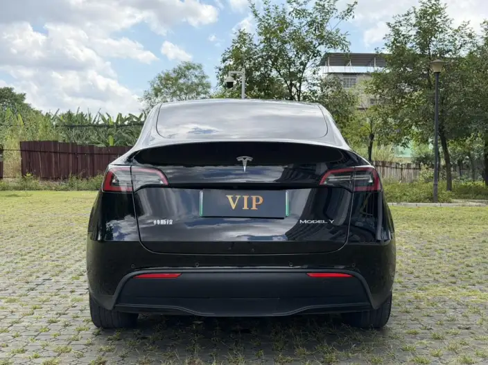 Model Y 2022 Model Facelift Rear-wheel drive version – фото 5