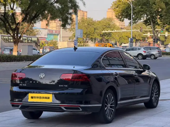 Volkswagen Magotan 2020 Model 330TSI DSG Luxury Model – фото 6