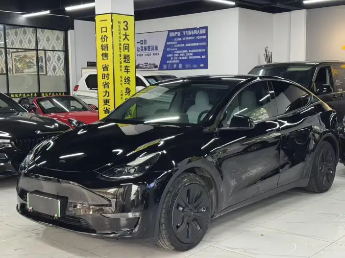 Model Y 2021 Model Standard Battery Life Rear-wheel drive version – фото 1