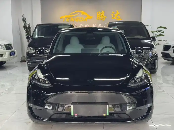 Model Y 2021 Model Standard Battery Life Rear-wheel drive version – фото 2