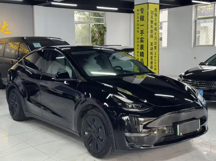 Model Y 2021 Model Standard Battery Life Rear-wheel drive version – фото 3