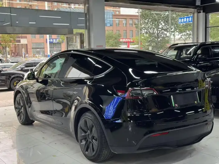 Model Y 2021 Model Standard Battery Life Rear-wheel drive version – фото 4