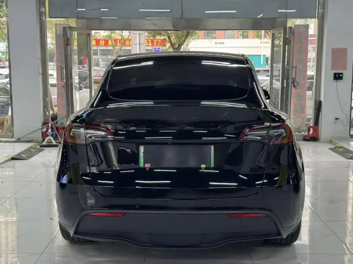 Model Y 2021 Model Standard Battery Life Rear-wheel drive version – фото 5