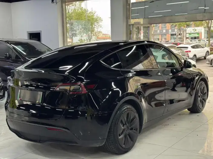 Model Y 2021 Model Standard Battery Life Rear-wheel drive version – фото 6