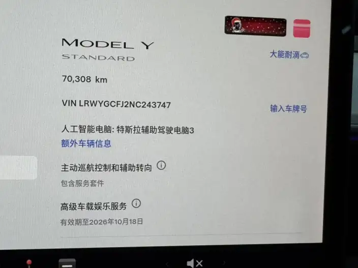 Model Y 2021 Model Standard Battery Life Rear-wheel drive version – фото 7
