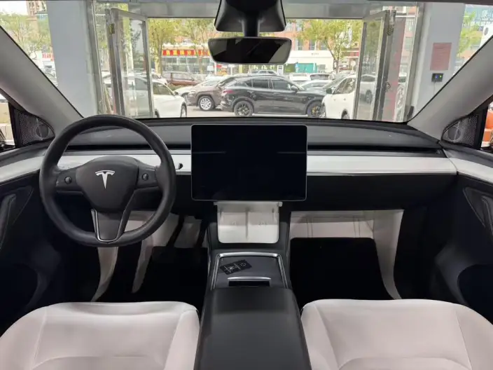 Model Y 2021 Model Standard Battery Life Rear-wheel drive version – фото 8