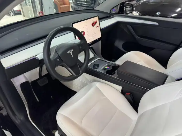 Model Y 2021 Model Standard Battery Life Rear-wheel drive version – фото 9