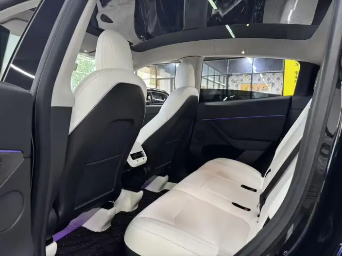 Model Y 2021 Model Standard Battery Life Rear-wheel drive version – фото 10