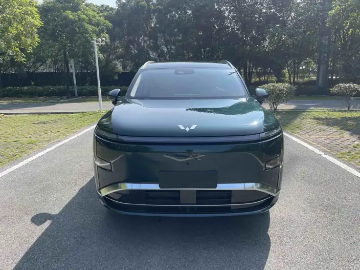 Xingguang L 2026 Model 260km VI seat Flagship Model