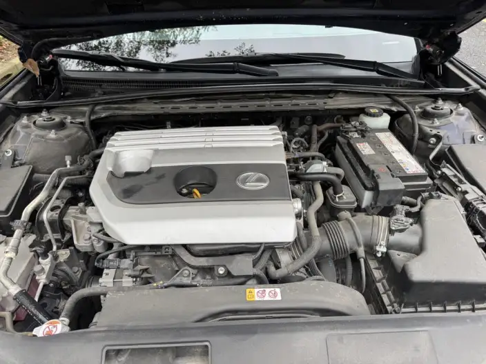 Lexus ES 2021 Model 200 Deluxe Edition – фото 6