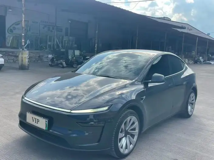 Model Y 2025 Model Long Battery Life Pro Rear-wheel drive version