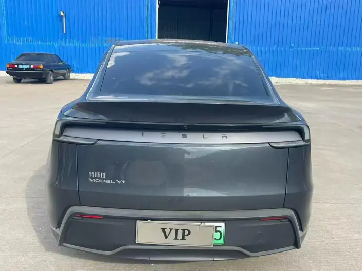 Model Y 2025 Model Long Battery Life Pro Rear-wheel drive version – фото 5