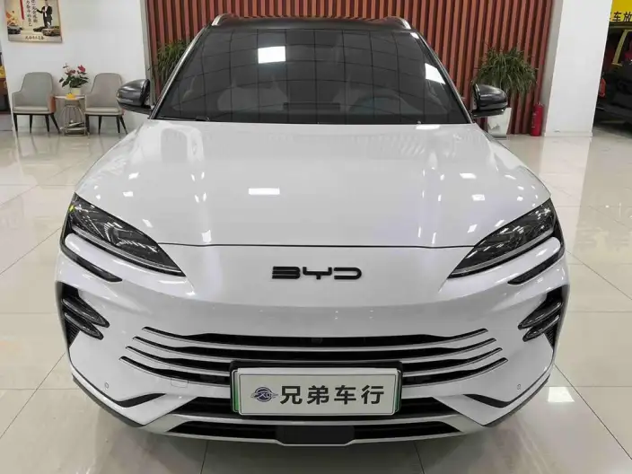 BYD Song PLUS DM 2024 Model DM-i Honor Edition 110KM Flagship Model – фото 2