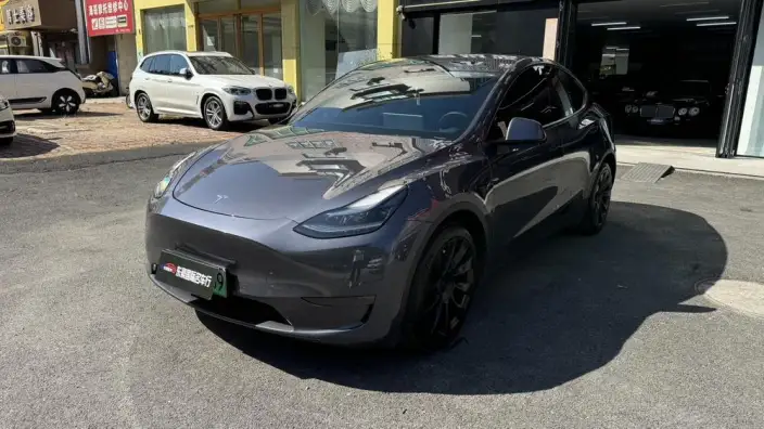 Model Y 2021 Model Long Battery Life Pro All-wheel drive version – фото 1