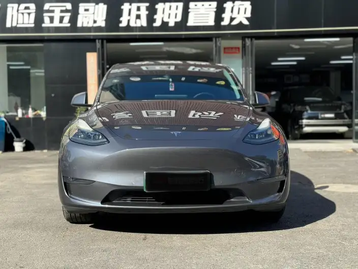 Model Y 2021 Model Long Battery Life Pro All-wheel drive version – фото 2