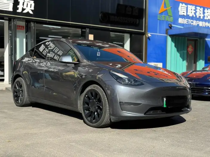 Model Y 2021 Model Long Battery Life Pro All-wheel drive version – фото 3