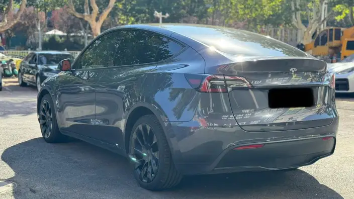 Model Y 2021 Model Long Battery Life Pro All-wheel drive version – фото 4