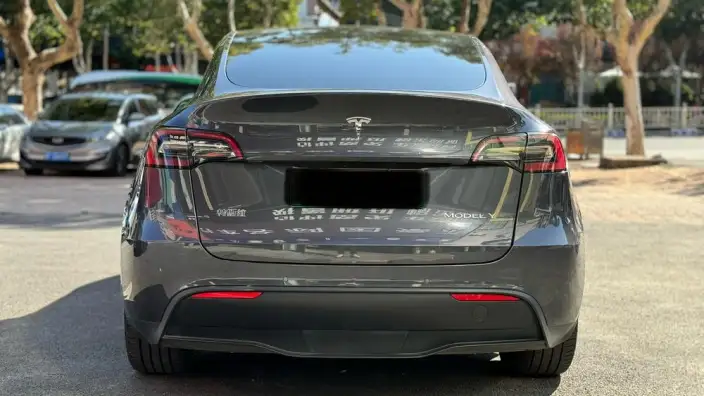 Model Y 2021 Model Long Battery Life Pro All-wheel drive version – фото 5