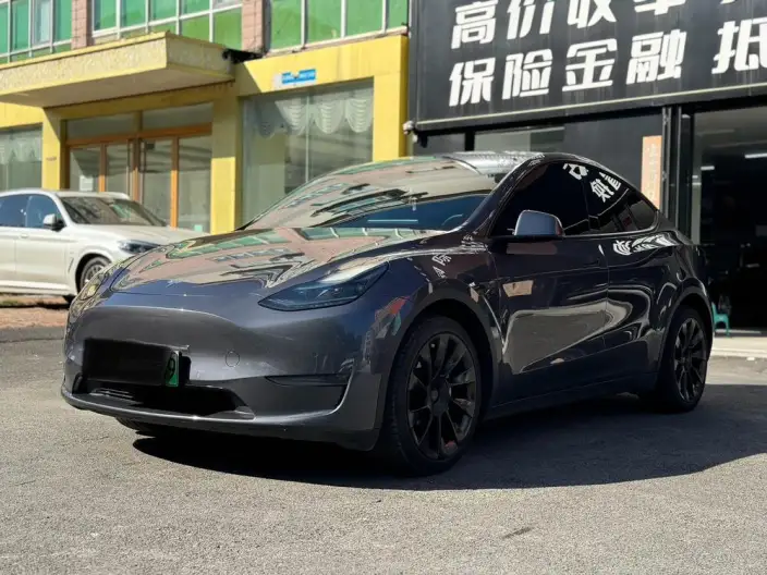 Model Y 2021 Model Long Battery Life Pro All-wheel drive version – фото 7