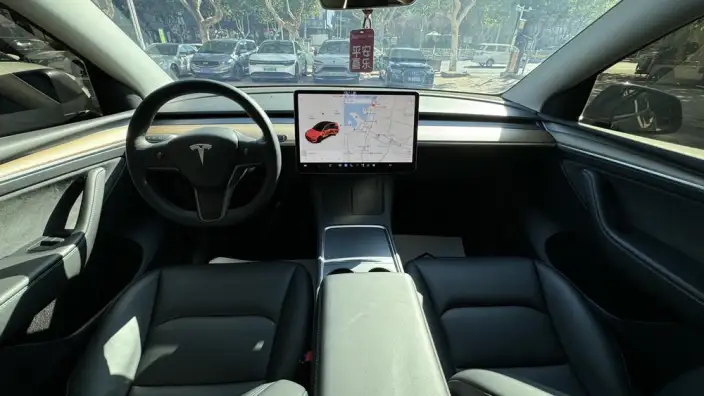 Model Y 2021 Model Long Battery Life Pro All-wheel drive version – фото 8