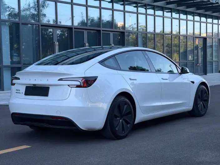 Model 3 2025 Model Facelift Rear-wheel drive version – фото 7