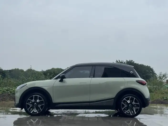 smart #1 2022 Model Pulse Heart Edition